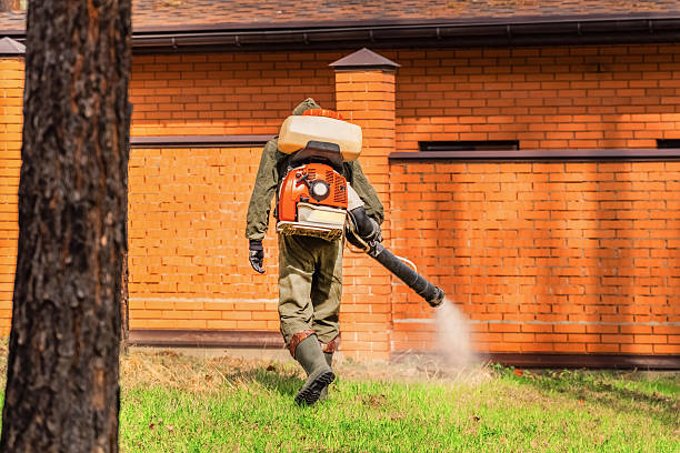 Bed Bug Clearance Verification and Documentation in Oquawka